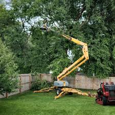 Best Aeration Services  in Fobes Hill, WA