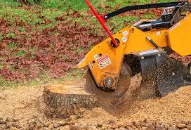 Best Lawn Watering Services  in Fobes Hill, WA
